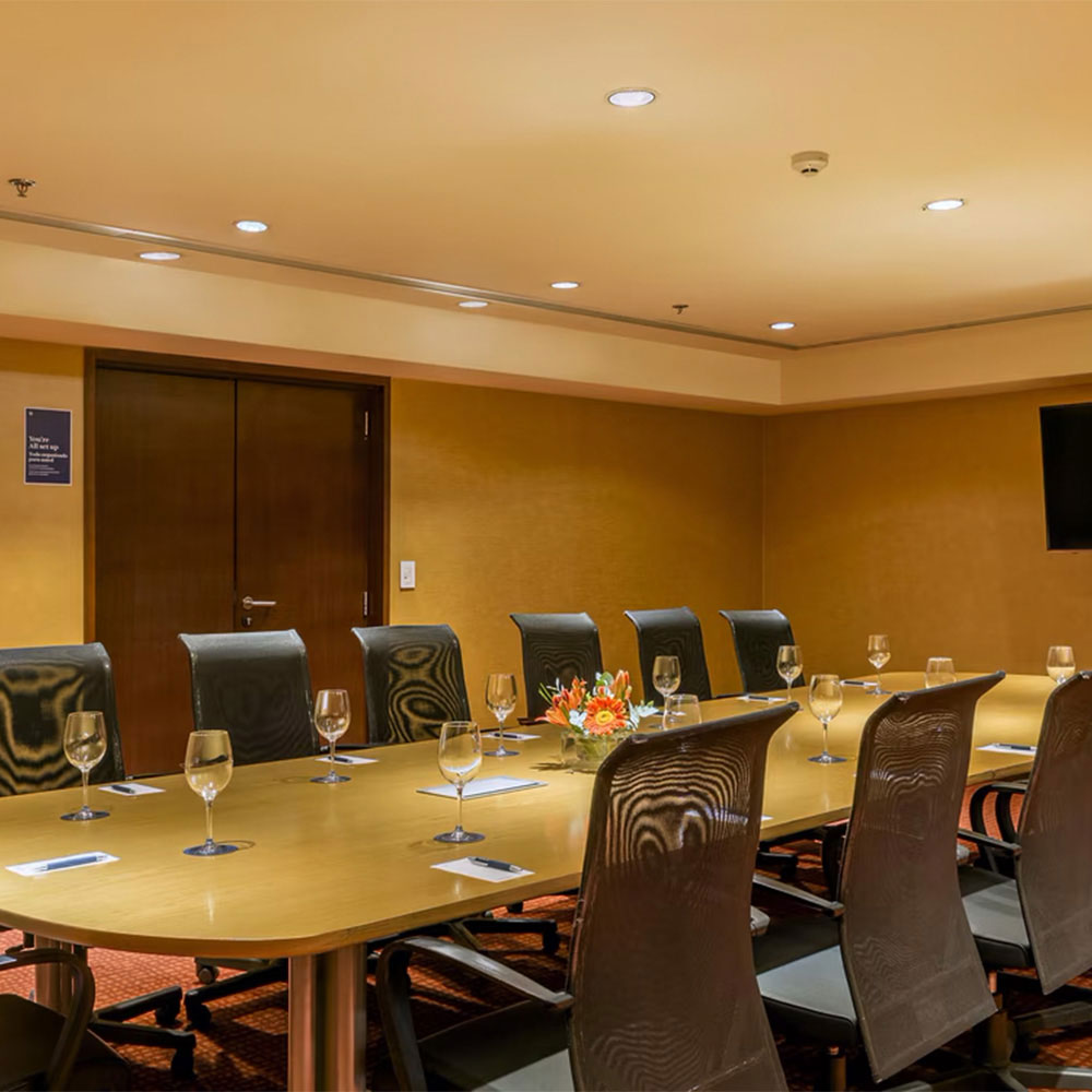 mdzsi-altamira-meeting-room-2924-hor-wide.jpg